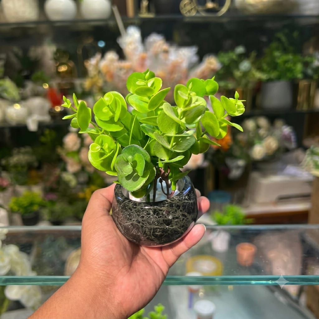 Marble Succulents