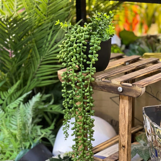 Pearl Hanging Pot