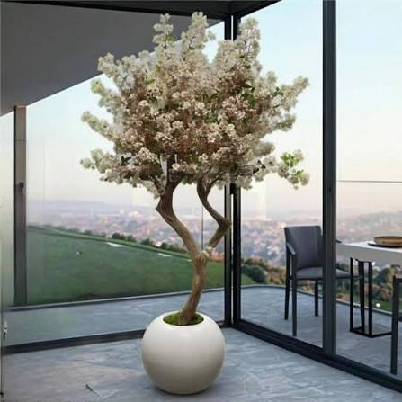 Exclusive Blossom Tree Big Size