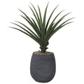 Alovera With Fiber Planter