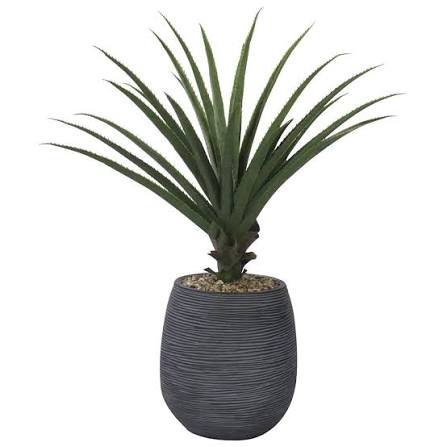 Alovera With Fiber Planter