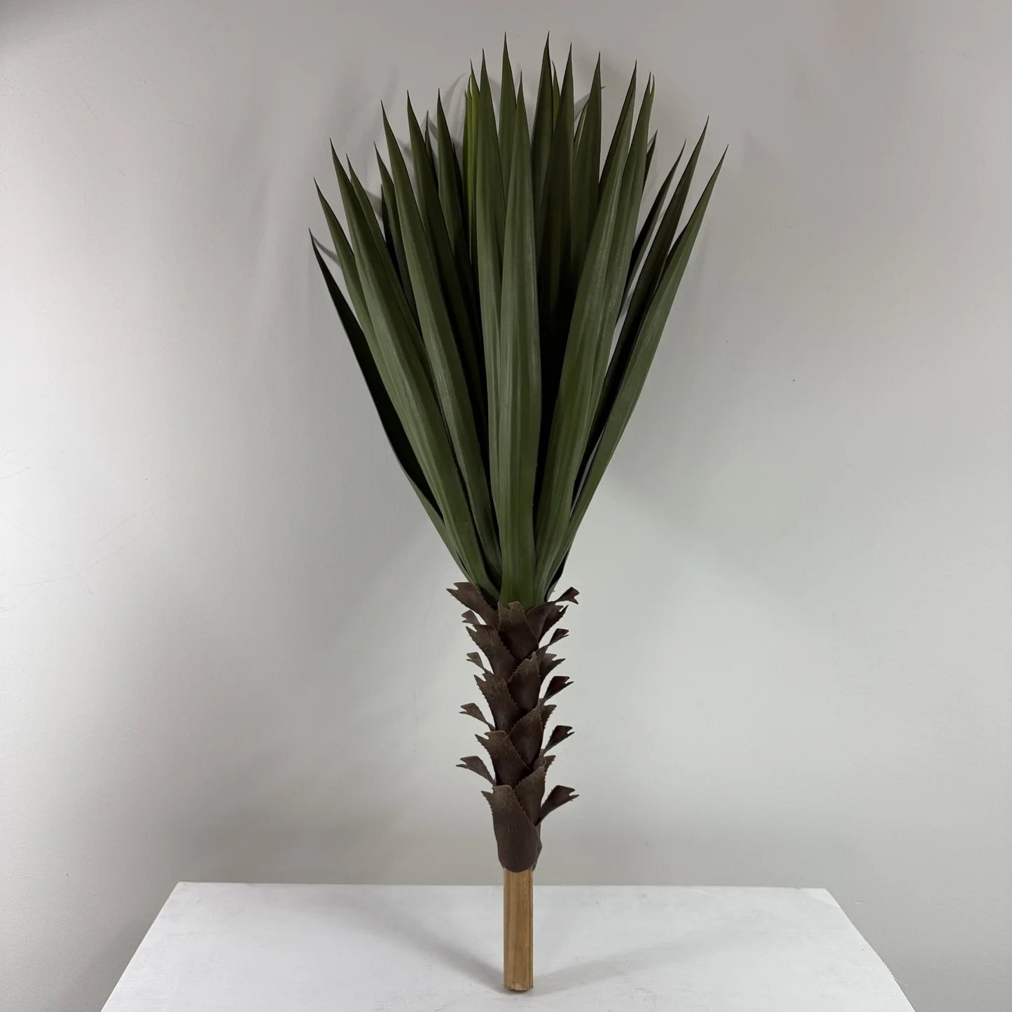 Dark green yucca plant with fiber planter