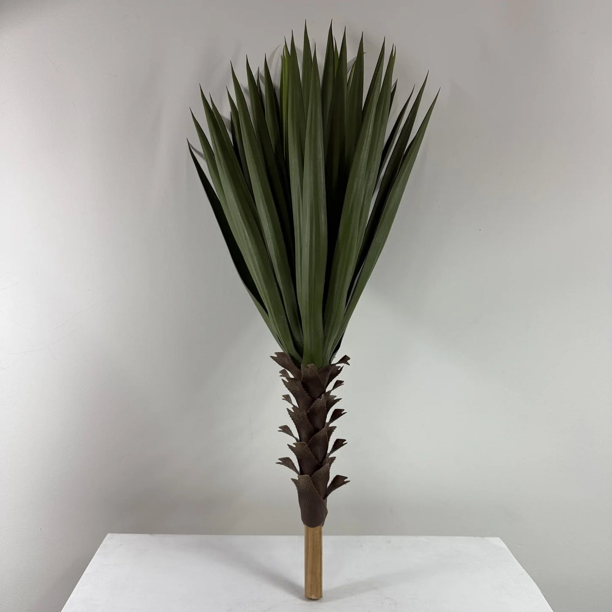 Dark green yucca plant with fiber planter